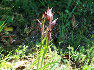 Casa per le vacanze Sonnac-sur-l'Hers Ambiente 18