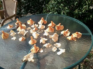 Casa per le vacanze Sonnac-sur-l'Hers Ambiente 19