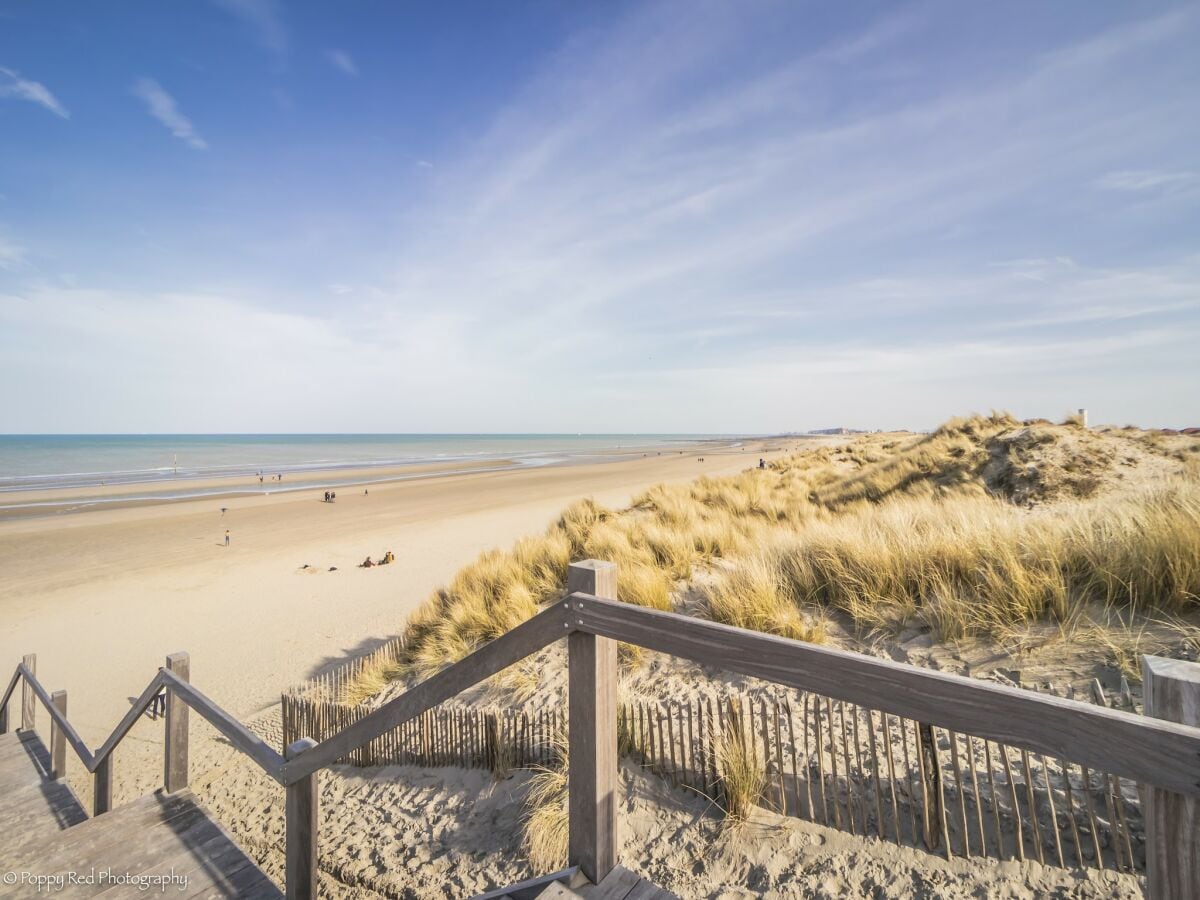 Ferienhaus Nieuwpoort Umgebung 32