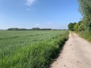 Vakantiehuis Nieuwpoort Omgeving 31