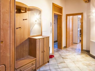 Appartamento per vacanze Dienten Caratteristiche 5