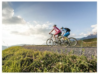 Appartamento per vacanze Dienten Ambiente 10