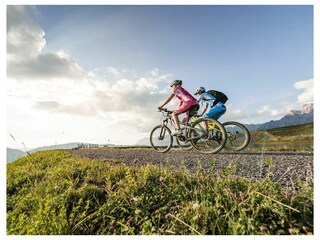 Vakantieappartement Dienten Omgeving 10
