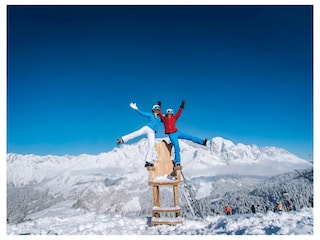 Appartamento per vacanze Dienten Ambiente 11