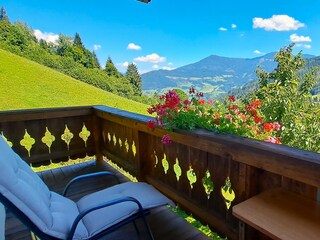 Appartamento per vacanze Bischofshofen Registrazione all'aperto 3