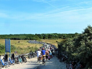 Appartamento per vacanze Oostkapelle Ambiente 18
