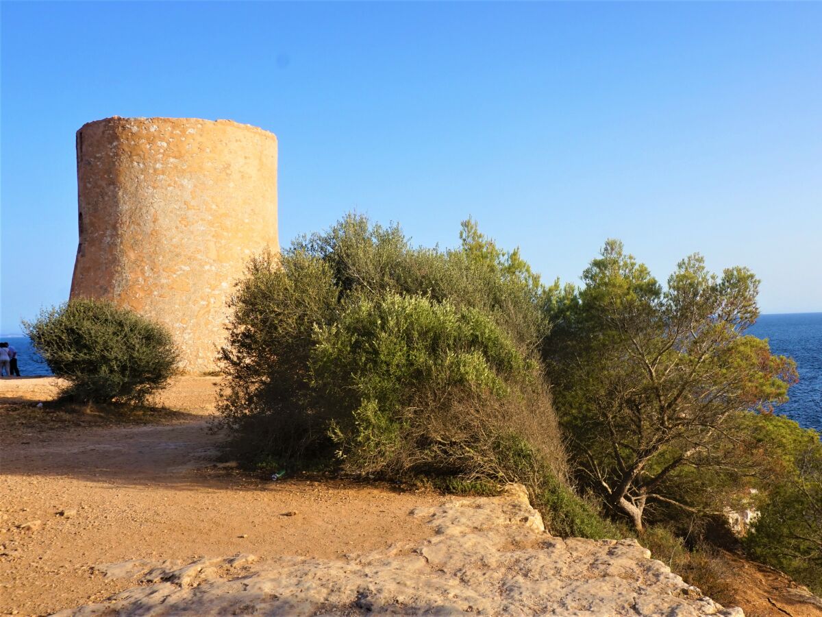 Ferienhaus Palma de Mallorca Umgebung 21