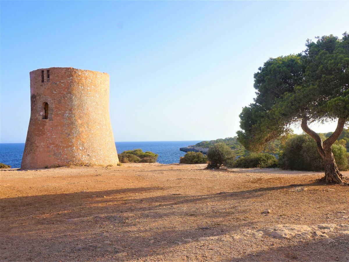 Ferienhaus Palma de Mallorca Umgebung 22