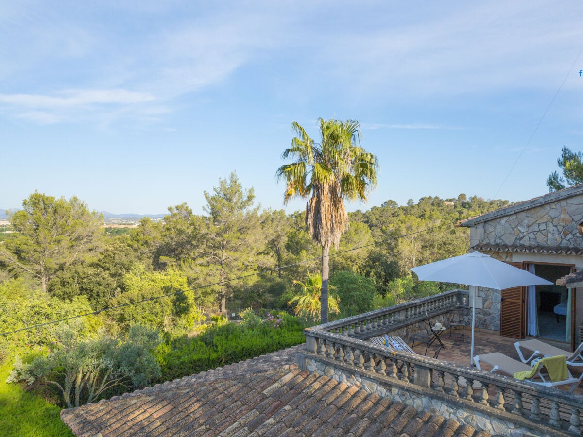 Ferienhaus Palma de Mallorca Außenaufnahme 26