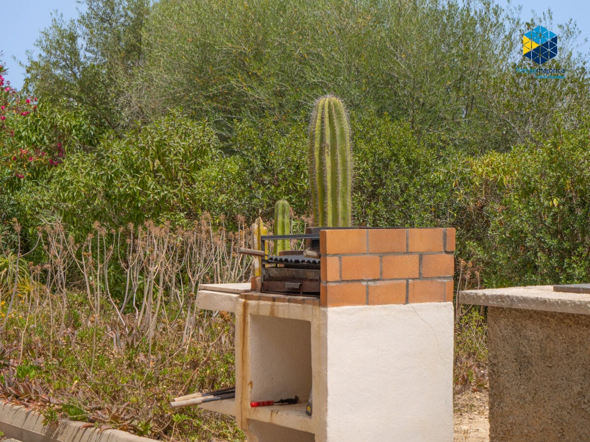 Ferienhaus Palma de Mallorca Außenaufnahme 5