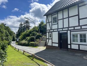 Ferienhaus Romantikhütte Winterberg-Willingen - Medebach - image1