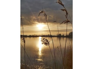 Morgenstimmung