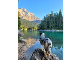 Eibsee (auch kostenlos mit dem Zug und Bus erreichbar)