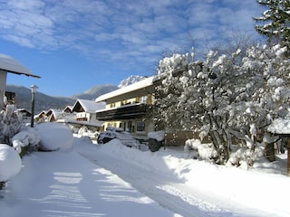 Am Anger im Winter