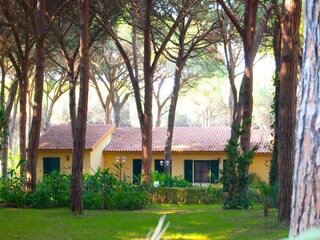 Casa per le vacanze Marrubiu Registrazione all'aperto 3