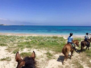 Maison de vacances Marrubiu Environnement 17