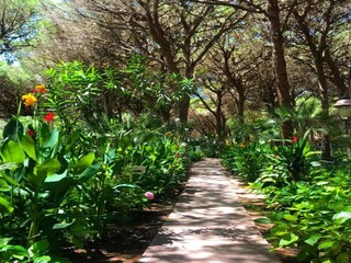 Maison de vacances Marrubiu Environnement 23