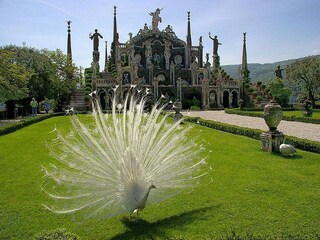 Apartamento de vacaciones Stresa Entorno 21