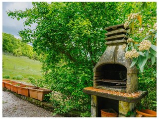 Fattoria Gambassi Terme Registrazione all'aperto 3