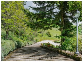 Fattoria Gambassi Terme Ambiente 38