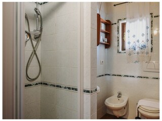 Fattoria San Gimignano Caratteristiche 32