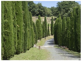 Bauernhof San Gimignano Außenaufnahme 13