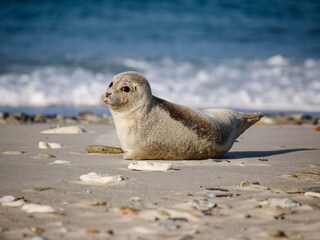 Appartamento per vacanze Cuxhaven Ambiente 11