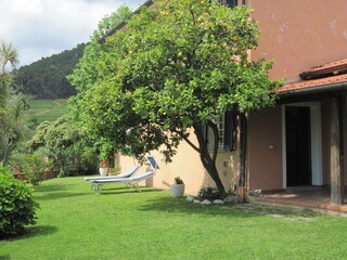 Vakantiehuis Montignoso Buitenaudio-opname 9
