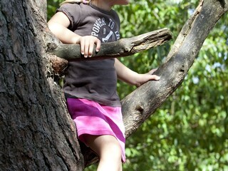 Vakantiepark Kootwijk Omgeving 7