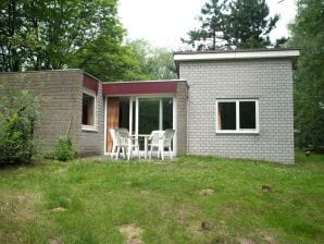 Single-storey bungalow with microwave, on a holiday park near the Kootwijkerzand - Kootwijk - image1