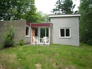 Bungalow mit Mikrowelle in einem Ferienpark in der Nähe des Kootwijkerzand - Kootwijk - image1