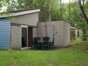 Vakantiepark Geschakelde bungalow met afwasmachine bij het Kootwijkerzand - Kootwijk - image1