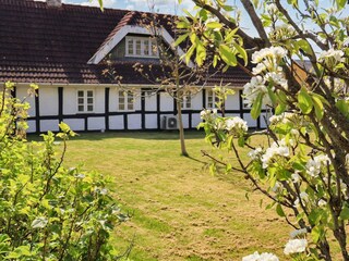 Ferienhaus Als Außenaufnahme 4