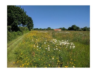 Casa per le vacanze Vesly Registrazione all'aperto 15