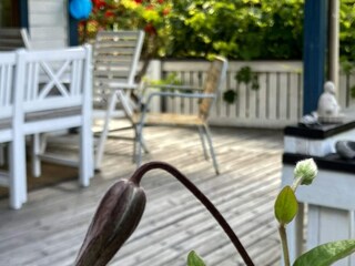 Holiday house Ellös Outdoor Recording 5