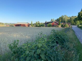 Holiday house Odensbacken Outdoor Recording 14