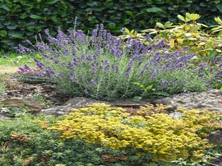 Casa per le vacanze Berlingen Registrazione all'aperto 8