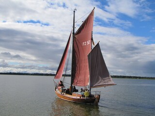Zeese auf dem Bodden