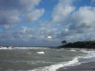 Steilküste Ahrenshoop