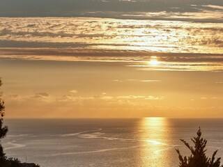 The View from Apartments