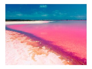 Villa Rojales Ambiente 29