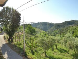 Holiday house Casale on the hills between Lucca and the sea, with garden and swimming pool - Torcigliano - image1