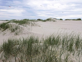 Ferienhaus Fanø Bad  28