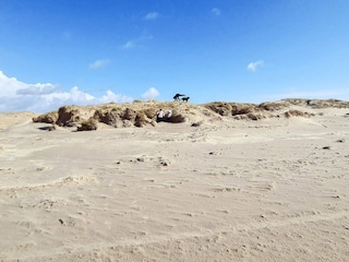 Ferienhaus Fanø Bad  29