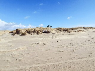 Vakantiehuis Fanø Bad  10
