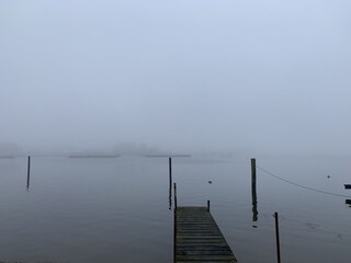 Morgennebel