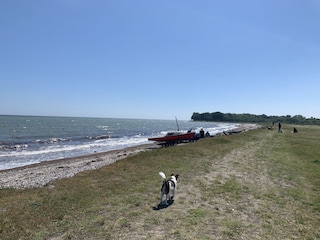 Nächster Strand: Kronsgaard