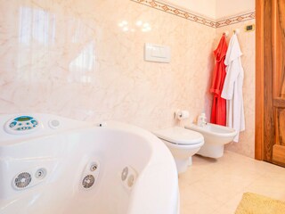 Villa Torri del Benaco Caratteristiche 10