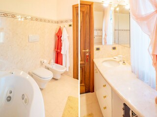 Villa Torri del Benaco Caratteristiche 13