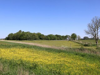 Zufahrt zum Elisenhof